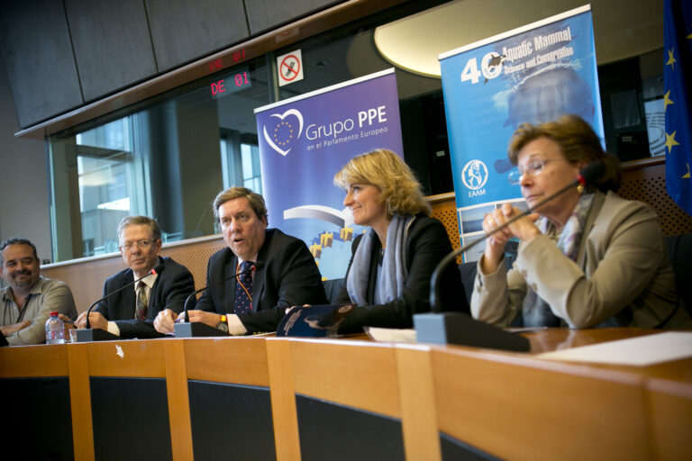 Jornada en el Parlamento Europeo para divulgar los avances científicos en la investigación y conservación de mamíferos marinos