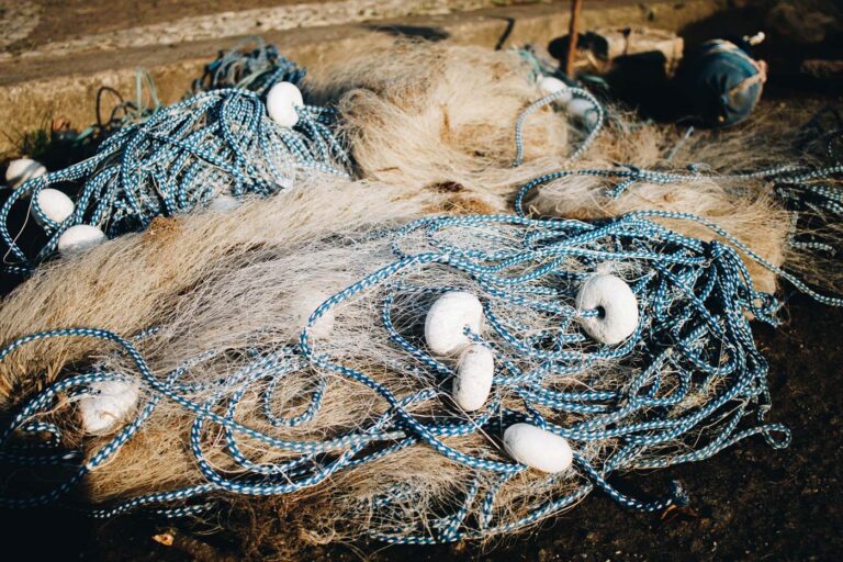 Gabriel Mato defiende que la UE dé un tratamiento preferente a la pesca artesanal